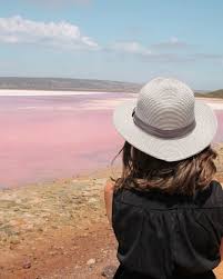 In amazonian folklore and culture, botos live in magical, underwater kingdoms and have supernatural powers. Hutt Lagoon Pinker See In Western Australia Join The Sunny Side