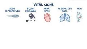 Image result for Vital Sign