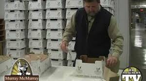 Man, what a great read!poultry catalog. Safe Shipping From Murray Mcmurray Hatchery Youtube