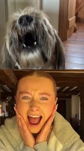 Archie and I Switch Lives: The Ultimate Challenge!