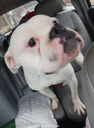 What are popular places in Ferguson/Berkeley?