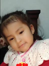 Sergio Paul Vega Colque Camaná