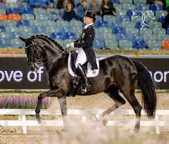 The teams also battle for a $20,000 prizepool, with first place taking home $12,000. Em Dressur Team Gold Fur Deutschland Belinda Weinbauer Im Grand Prix Special Equestrian Worldwide Pferdesport Weltweit Eqwo Net