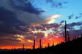 When it's the weekend or late night evenings during the week. Moving Company Tucson Delivery Doctors Movers