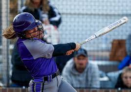 The 2019 softball, baseball all-district teams