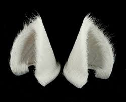 Check out our white cat ears selection for the very best in unique or custom, handmade pieces from our costume ears there are 9672 white cat ears for sale on etsy, and they cost $30.37 on average. Sleek White Cat Ears Nekomimi By Storytellerzero On Deviantart
