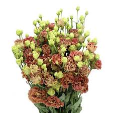 Image result for eustoma lisianthus in vase