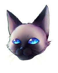 Cat imi dai ca sa te impusc din nou. Cat Tv Cat In A Bag Pages Directory