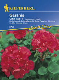 Patients take the supplemental form to treat the common cold and acute bronchitis. Kiepenkerl Blumen Saatgut Pelargonium Zonale Geranien Rot Samensh