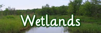This information is intended to promote the understanding and conservation of wetland resources through discovery and education as well as to aid. Wetlands