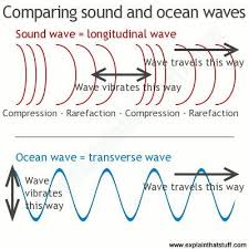 A Line Artwork Comparing Longitudinal Sound Waves And Transverse Ocean Waves Ultrasound Physics Physics Lessons Physical Science