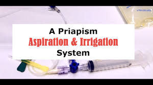 Image result for Priapism