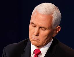 Fly Lands On Mike Pence S Head At Vice Presidential Debate