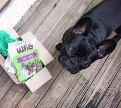 When The Postman Drops Of Some Of Your Favourites Getwag Getwag Dog Frenchbulldog Frenchies Puppy Cute Bat French Bulldog Frenchie French Bulldog Puppy
