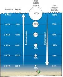 Image result for Decompression Sickness