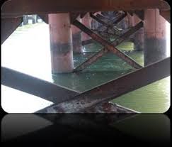 Image result for Crotalaria namuliensis