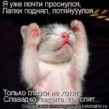 Только ГЛс Слааадко Создай kotomatrix.ru Ш!А не ХОТЯТ,! F видите, каж /  котоматрица / смешные картинки и другие приколы: комиксы, гиф анимация,  видео, лучший интеллектуальный юмор.