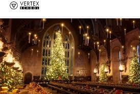 Vertex School – Houdini FX & Redshift – On Demand - 后期兔教程网