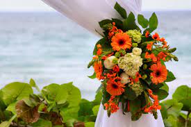 Parking is available immediately adjacent to the fields and across the street. Boca Raton Florist Davie Local Florist Boca Raton Local Flower Delivery Field Of Flowers