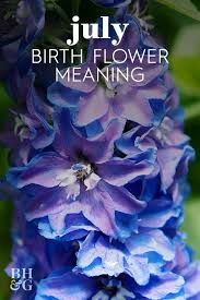 Find Out Your Birth Month Flower And The Meaning Behind It In 2020 Birth Month Flowers Month Flowers Birth Flowers