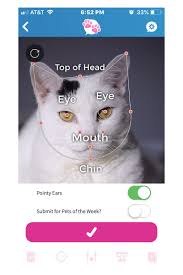 Cute and cuddly chubby amateur 5 min. A Pet Lover S Guide To Milwaukee