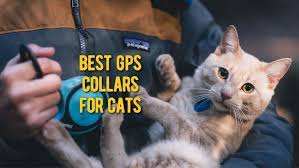Best bluetooth cat gps tracker: á‰ Best Cat Gps Tracker Top Rated Cat Gps Collar Devices Review