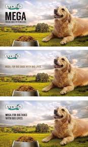 Order a sample before buying a bag of food. Big Dog Food From Nz By Addiction Free Mega Samples Pet Supplies Pet Food On Carousell