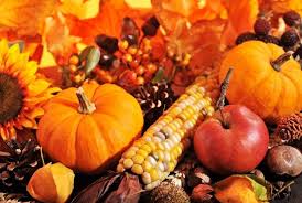 Check spelling or type a new query. Thanksgiving Facts Fun Facts About Thanksgiving For Kids