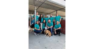 Ohs rescues, heals and adopts more than 11,000 pets each year. Support Oregon Humane Society By Joining Onpoint Community Credit Union Today