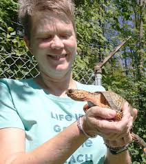 Follow the 'Misadventures of Beverly Beaver' at Moebius Nature Center