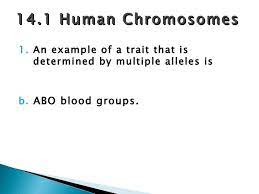 Fairbanks his book relics of eden, and which includes such as things as the evidence that human chromosome number two resulted by fusion from two primate chromosomes, together with facts about (1) transposable elements, including retroelements, (2) pseudogenes. 14 1 Human Chromosomes Assessment Answers Ahdieh Langra
