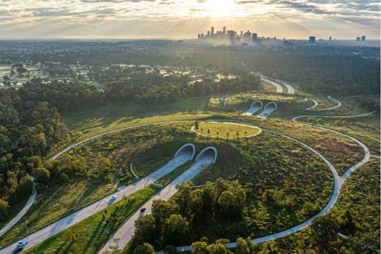 Memorial Park | Things To Do in Houston, TX