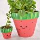 Sweet as Summer: Watermelon Planters (Teens Only)