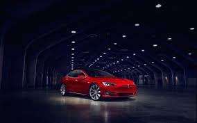 Tesla motors, logo, night, illuminated, animals in the. 65 Tesla Motors Hd Wallpapers Background Images Wallpaper Abyss