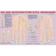 Amazon In Buy Sujok Acupuncture Byol Meridian Chart Book