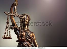 Image result for Justicia nuttii