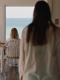 At the park, you'll enjoy live palm trees, white ocean sands, and crashing waves. The Beach House Feffs