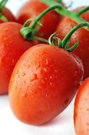 Image result for tomato Piccadilly