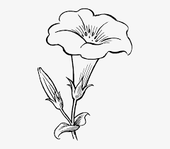 For your convenience, there is a search service on the main page of the site that would help you find images similar to flower images black and white clipart. Black Outline Drawing Flower White Flowers Free Flower Clipart Black And White Free Transparent Png Download Pngkey