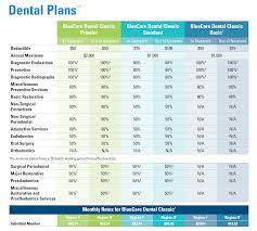 Patients love to have super clean teeth all the time! Bluecare Dental Classic For Individuals And Bluecare Vision Insure With Integrity