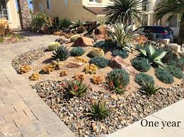 Reduce irrigation in fall and winter so that succulents can withstand lower temperatures. After The Lawn A Front Yard Of Succulents