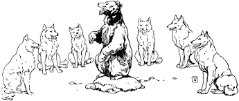 Silver falcon wolf pack wip by java #2841287. Wolf Pack Coloring Pages Wolfpack Good Galleries Mrks1h Printable Coloring4free Coloring4free Com