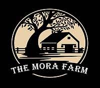 We did not find results for: The Mora Farm Eventsured