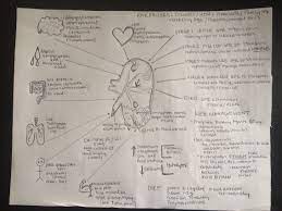 Chronic Kidney Disease Nursing Study Chronic Kidney Disease Nurse