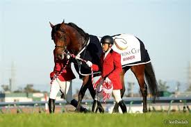 サッカー関連の選手権。 uefaチャンピオンズリーグの旧略称。 concacafチャンピオンズリーグの旧略称。 cafチャンピオンズリーグの旧略称。 a3チャンピオンズカップ. Fwtahnvo K8xm