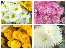 Start adding your flowers around the base, then tie. Longest Lasting Inexpensive Cut Flowers