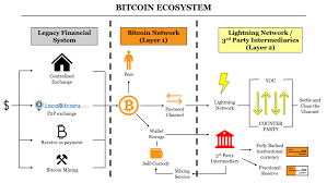 I generalized the idea to be compatible with the. The Bitcoin Ecosystem Eric Yakes Cfa