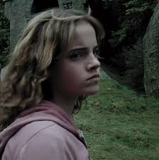 HERMIONEGRANGER || punch me pls girl i need it~ || credits:@celine ⚯ ...