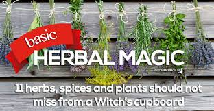 Herbal Magic 11 Magical Herbs And Spices Magical Recipes