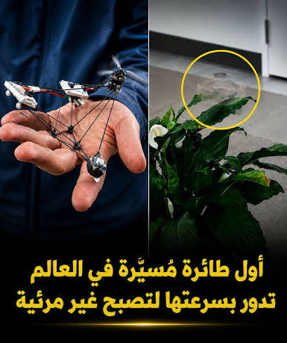 إقرأ - تخيّل طائرة مسيّرة تصبح أكثر صعوبة في الرؤية، ليس بفضل الطلاء  المموّه أو المواد الخاصة، بل بسبب طريقة حركتها نفسها. طوّر باحثون في جامعة  نورث وسترن الأمريكية نموذجًا تجريبيًا لطائرة